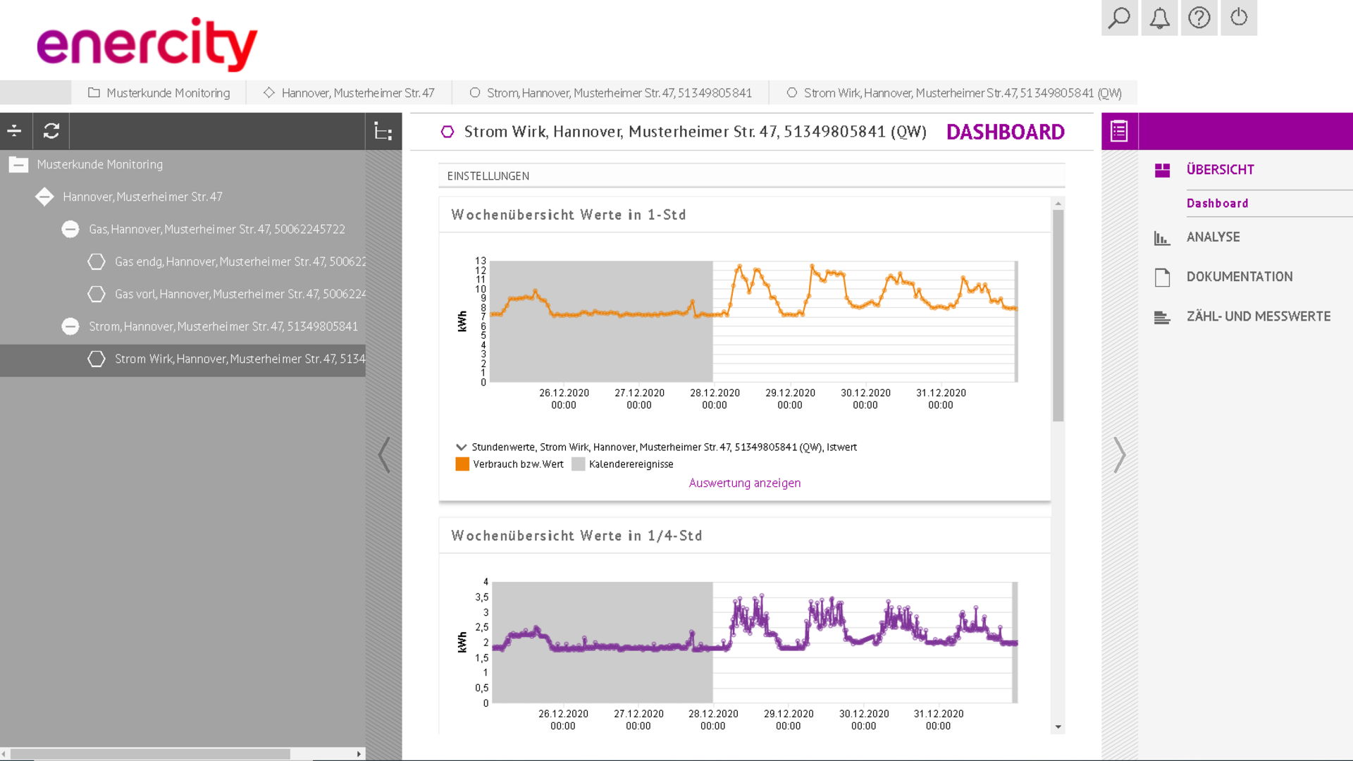 IngSoft InterWatt als enercity EnergieControlling im Einsatz bei der enercity AG